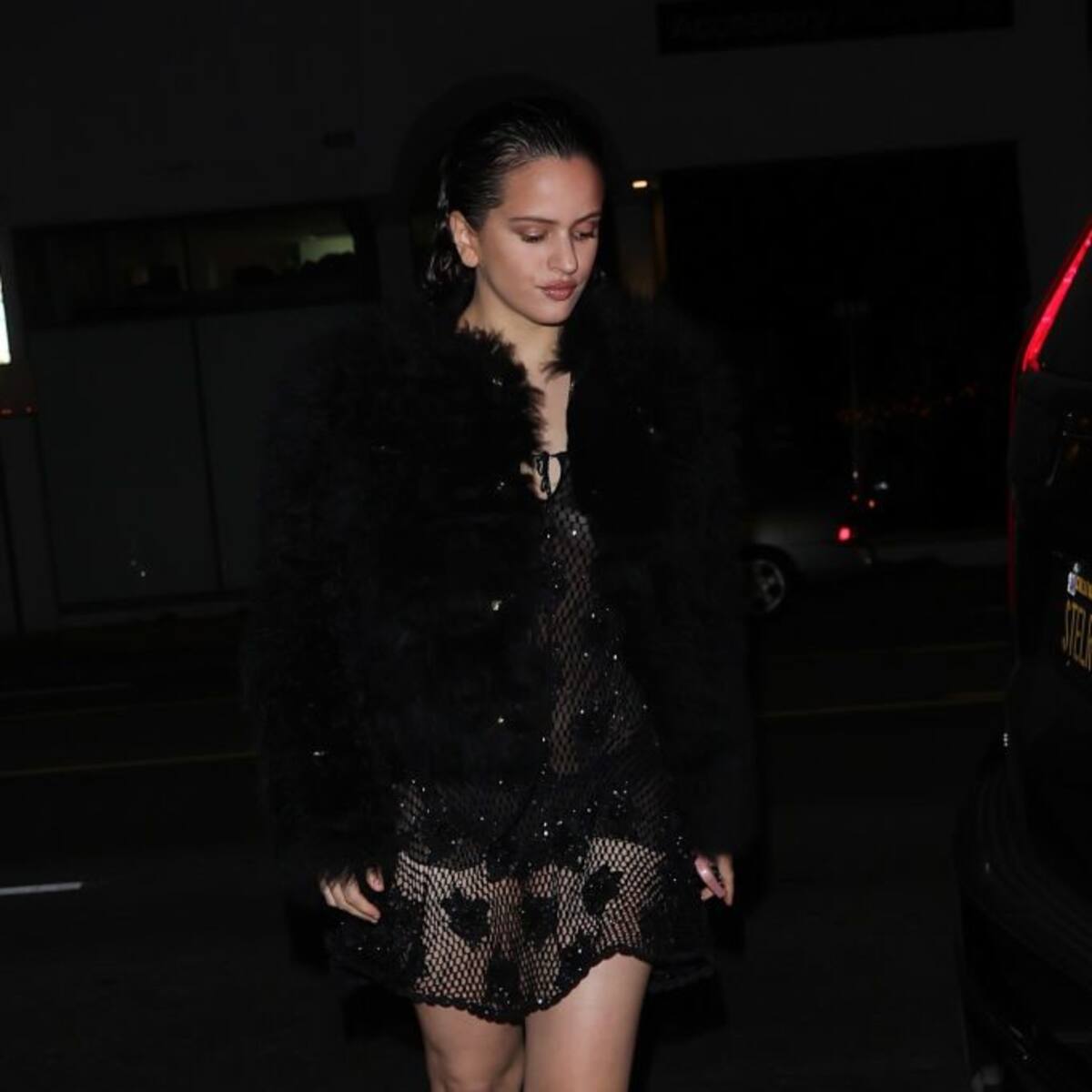 Is Rosalía Angry with Karol G?: What Happened?