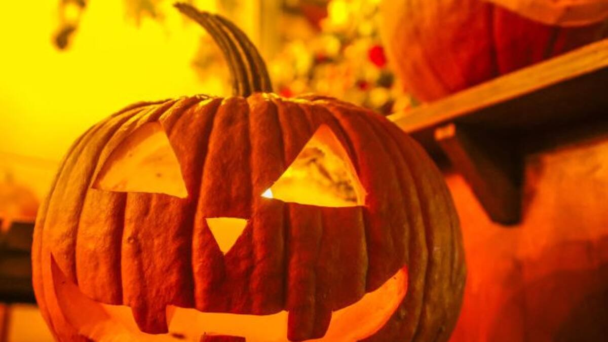The Origins and Traditions of Halloween: Why Do We Celebrate?