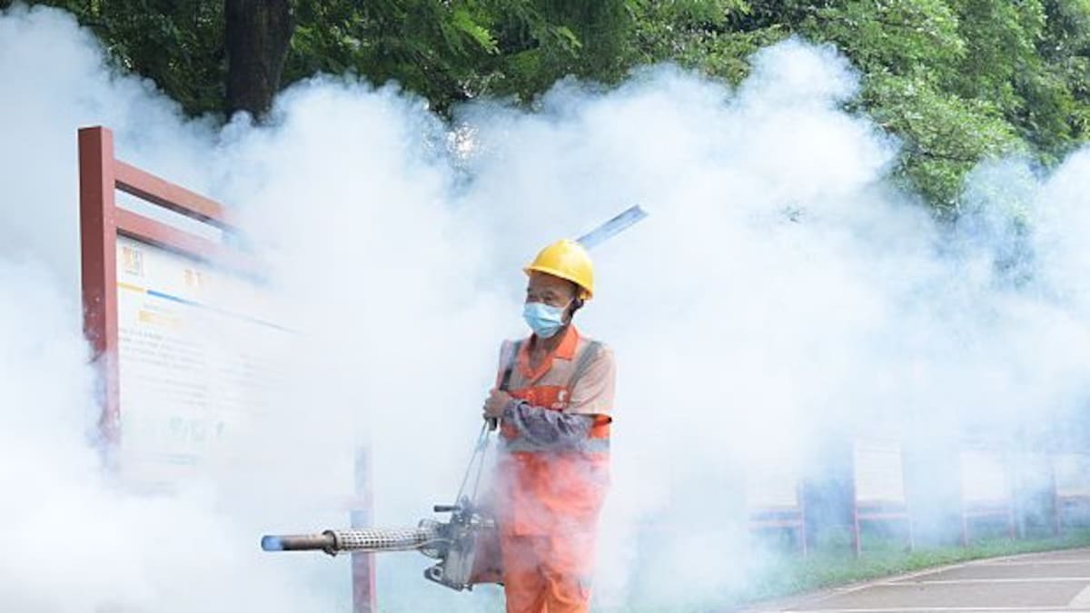 What Is Chikungunya: The Virus Behind China’s 2025 Outbreak