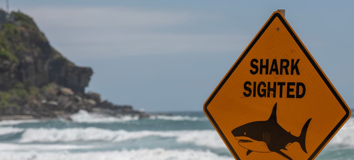 Créditos: Getty Images