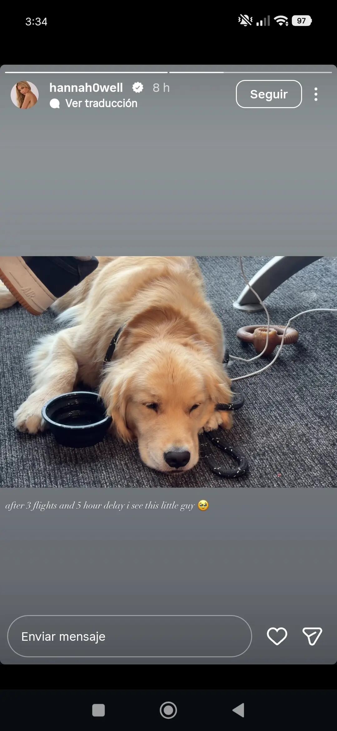 Hannah Howell subió un story a Instagram haciendo referencia a que se reencontraba con Turkey, el perro que comenzó a tener junto a Peso Pluma