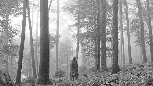 Phoro: REPUBLIC RECORDS