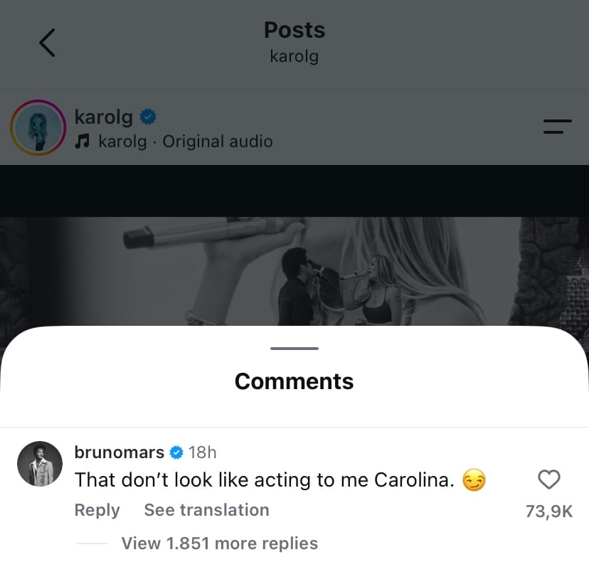 Créditos:  ig @karolg