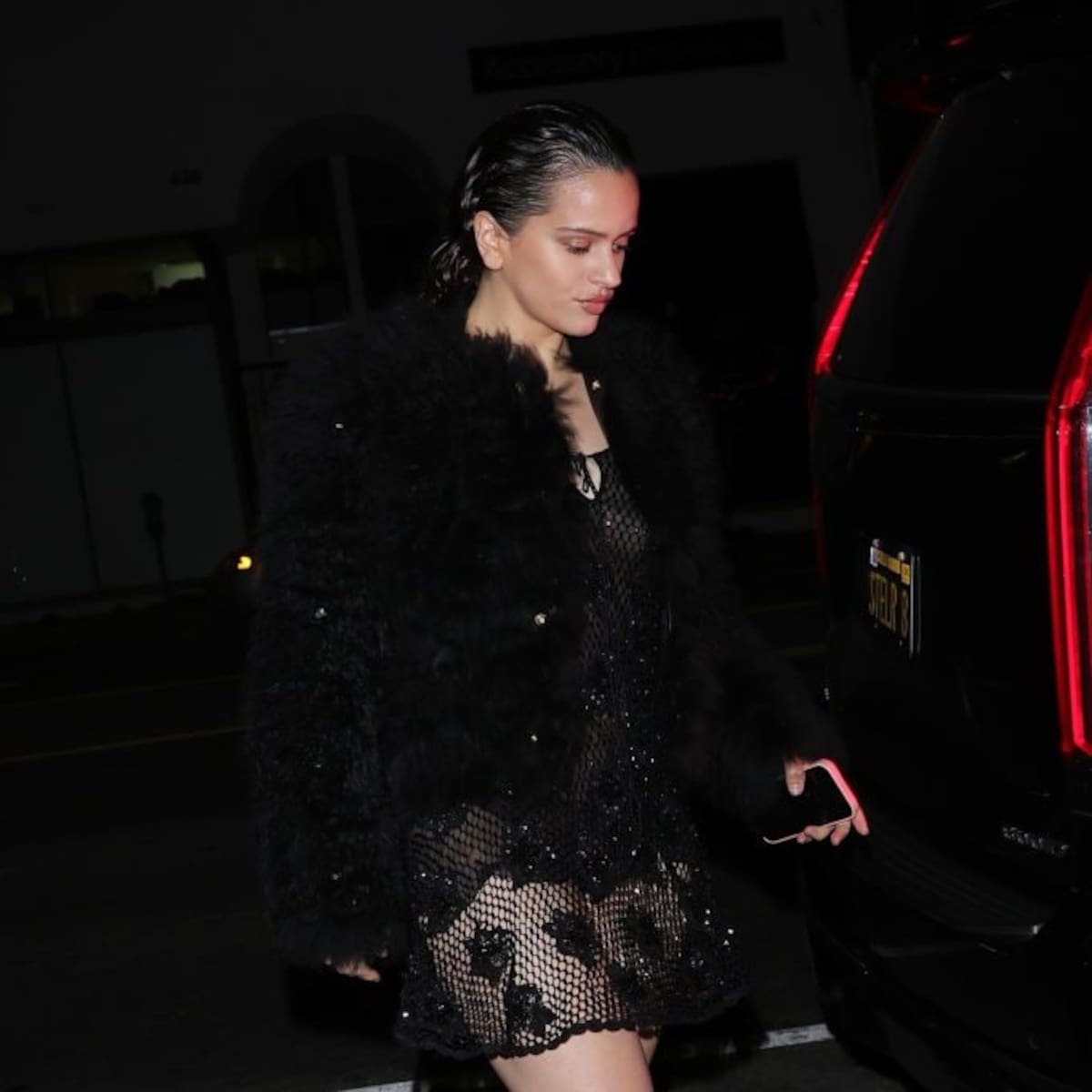 Have Rosalía and Jeremy Allen White Broken Up?