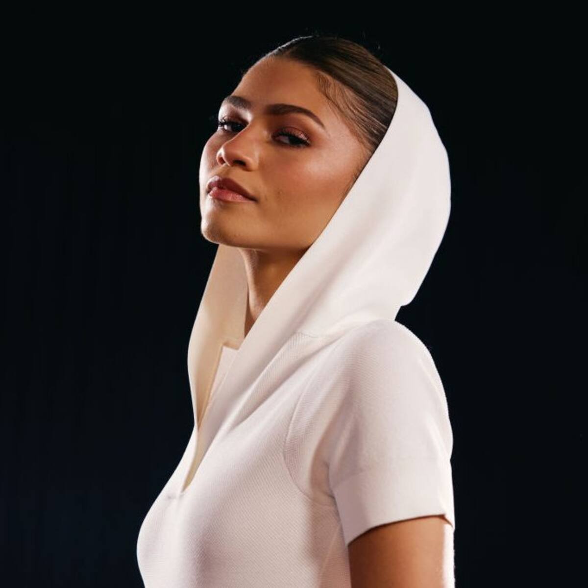 Zendaya Joins Shrek 5 Amid Big Changes to the Franchise