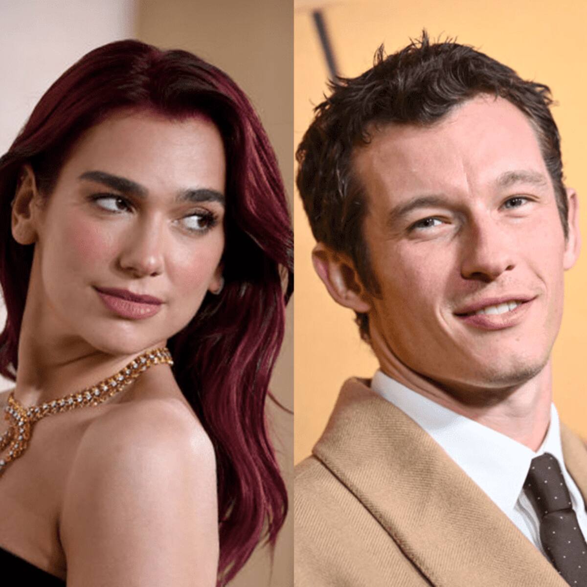 Dua Lipa & Callum Turner’s Romantic Dinner Following Their Public Kiss