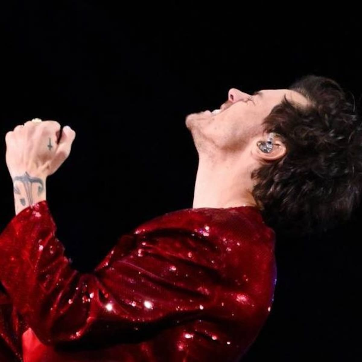 Another Live Assault: Harry Styles Stops Vienna Concert After Being Hit