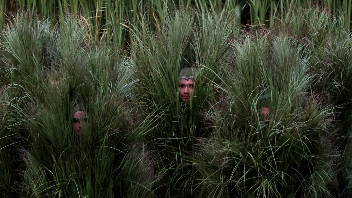 Los requisitos para ser un “arbusto” en el show de Bad Bunny (y cuánto les pagaron)