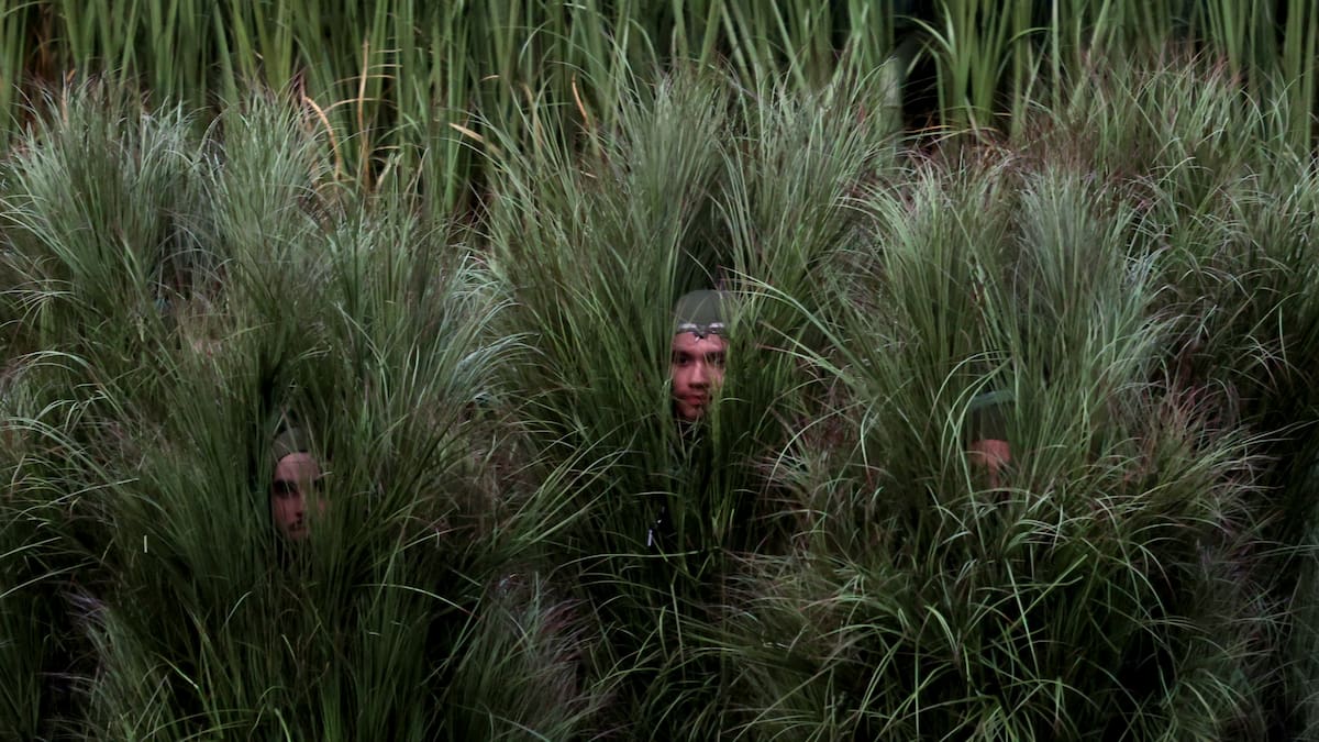 Los requisitos para ser un “arbusto” en el show de Bad Bunny (y cuánto les pagaron)