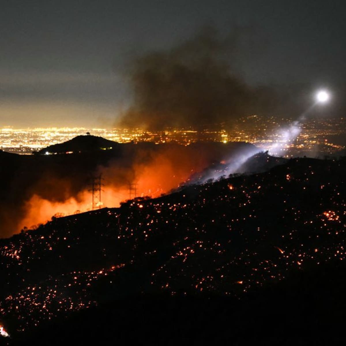 Actress Dalyce Curry Dies in California Wildfires: Her Life and Legacy