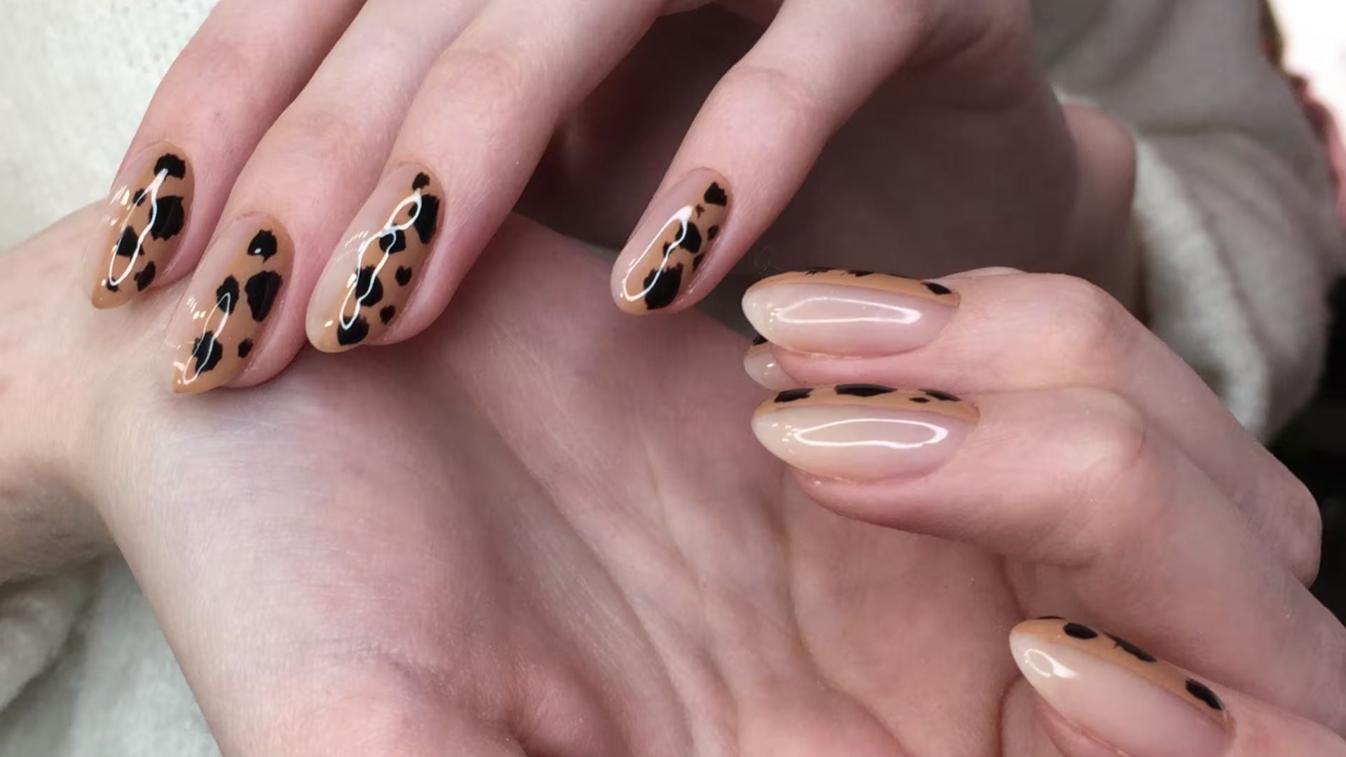 Getty / Miroslav Ivanov.