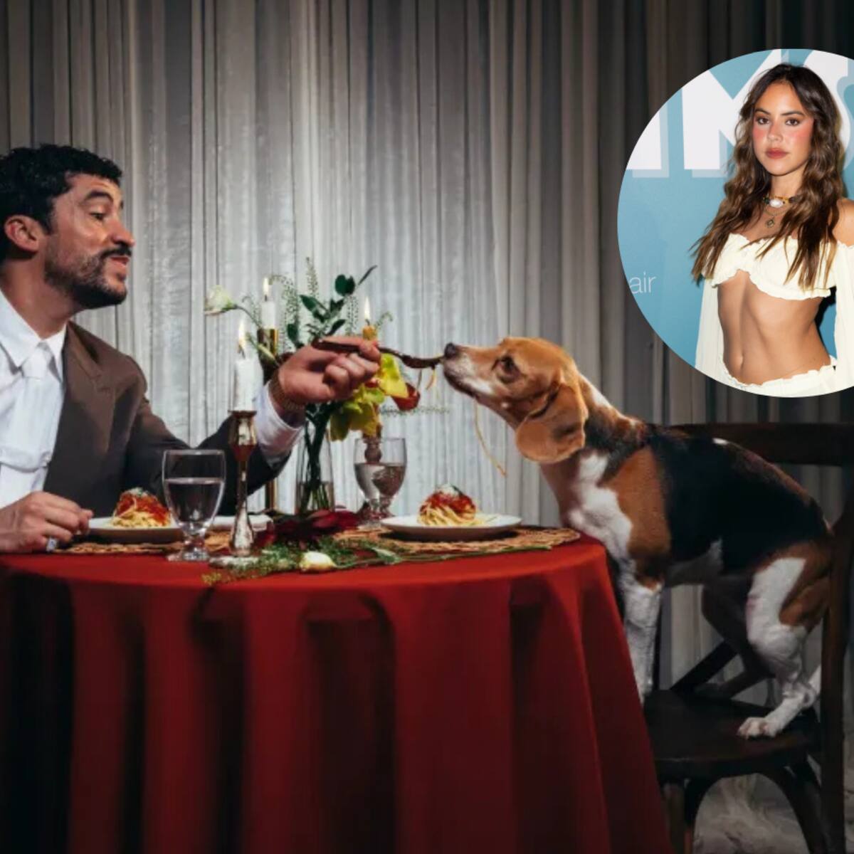 Sansa, la mascota de Bad Bunny que habría dejado en evidencia la relación con Gabriela Berlingeri