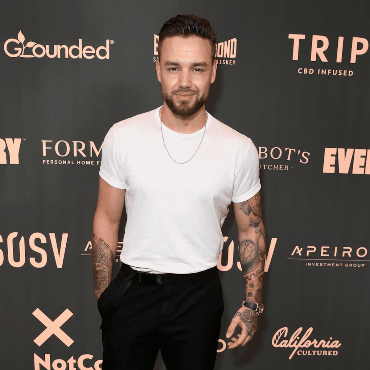 Liam Payne Cancels Tour Due to a Severe Infection