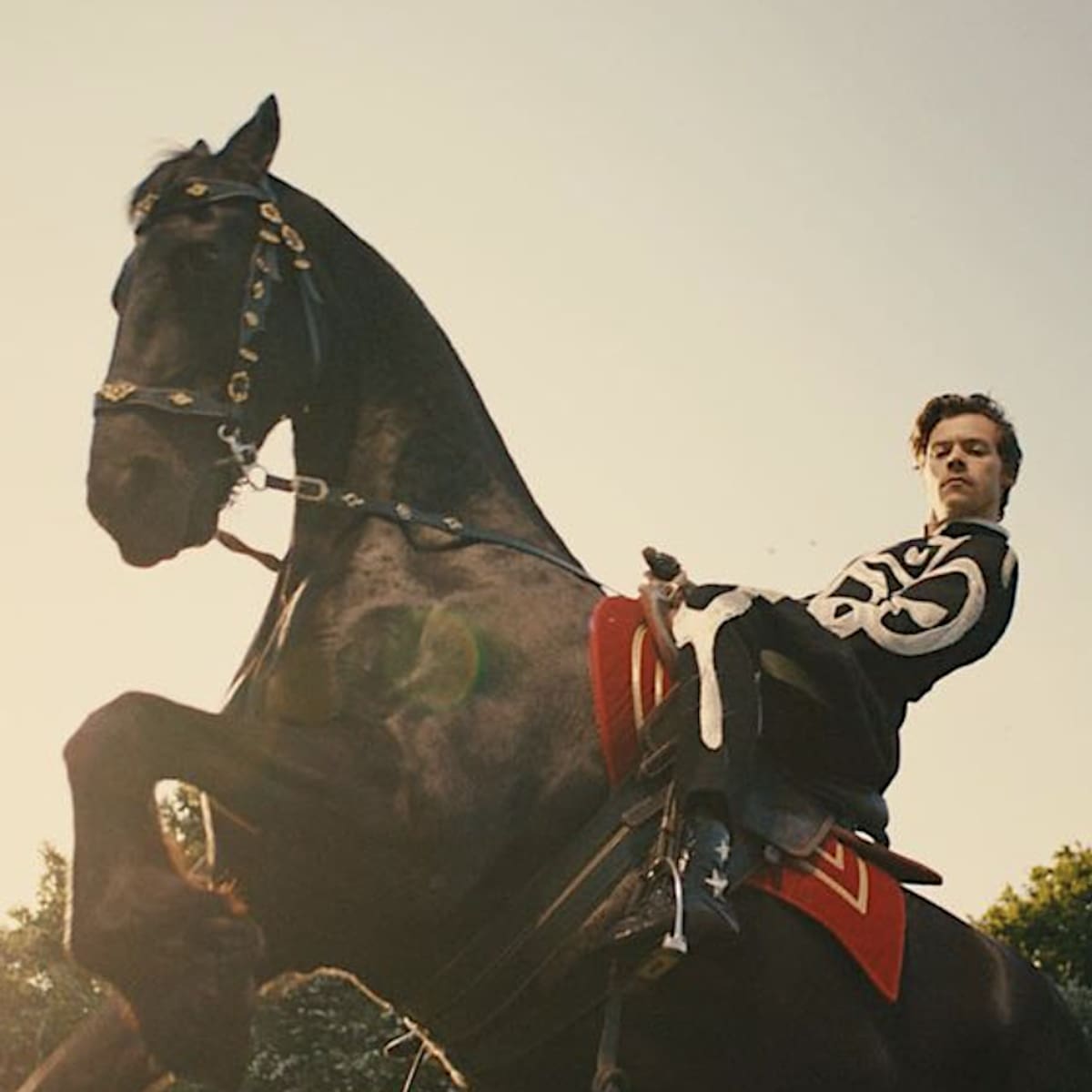 Harry Styles Releases ‘Daylight’ Official Music Video