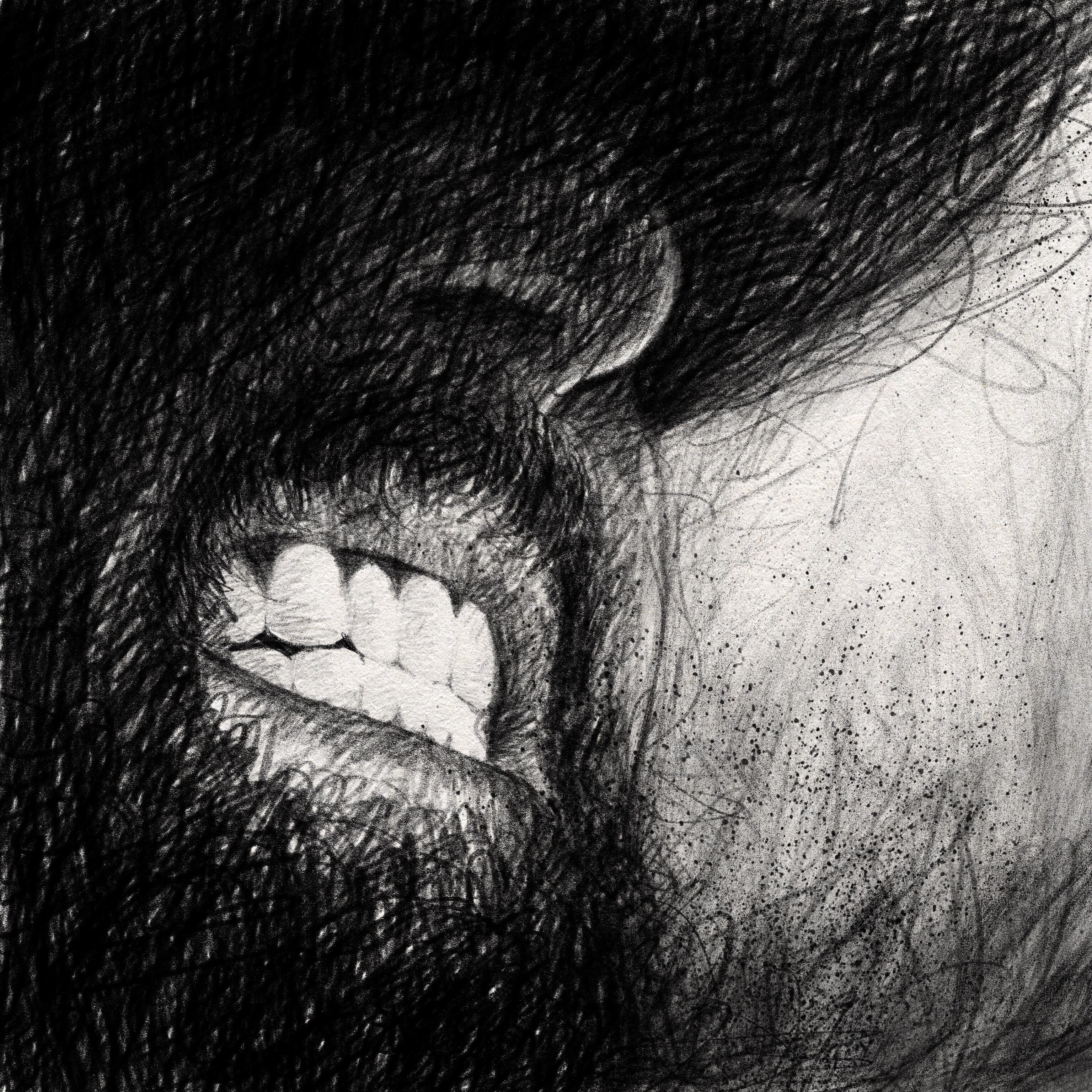 Cover de MudaH (Deluxe Edition) de Carín León / via Artist Publicist