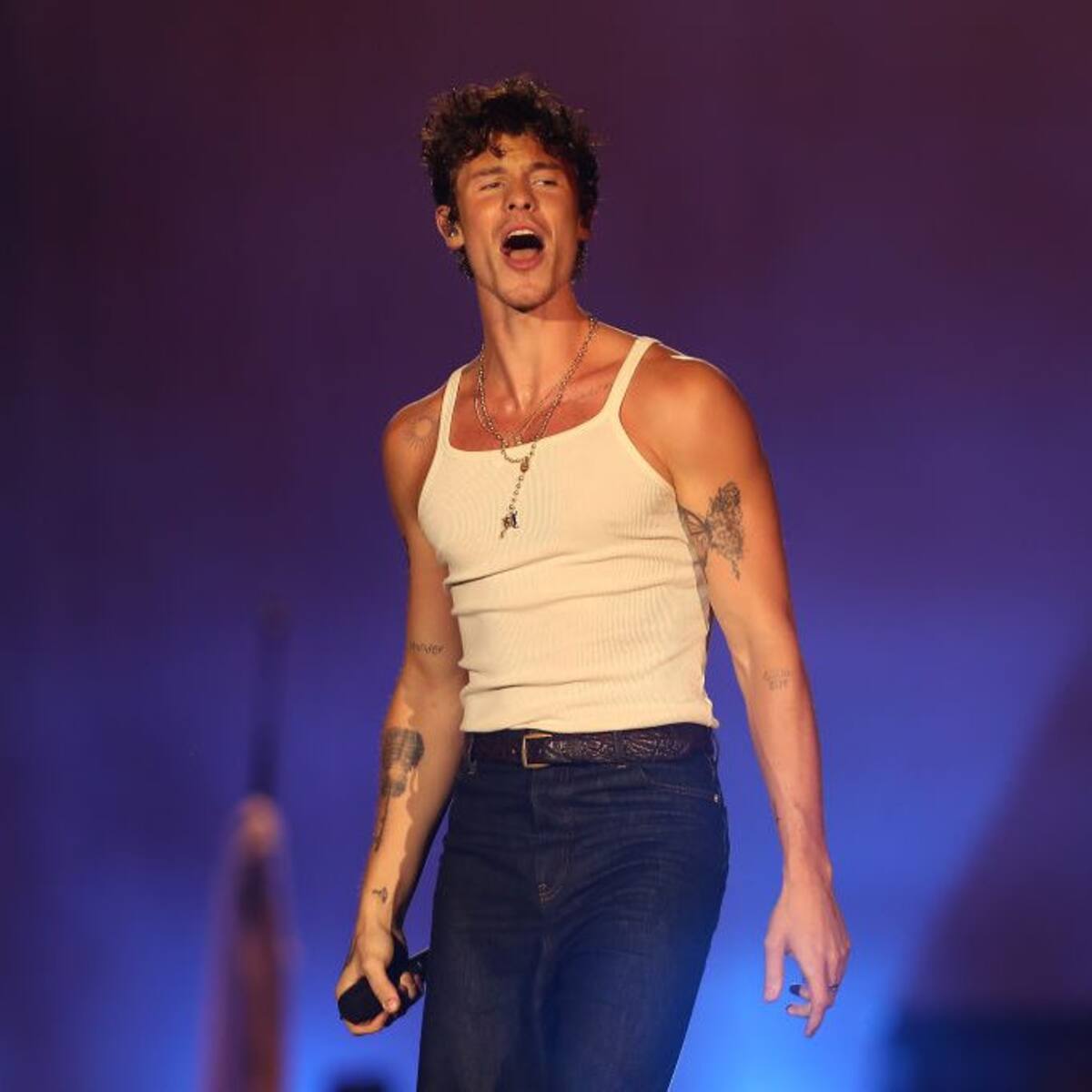 Shawn Mendes Opens Up About His Sexuality: ‘I’m Just Figuring Out’