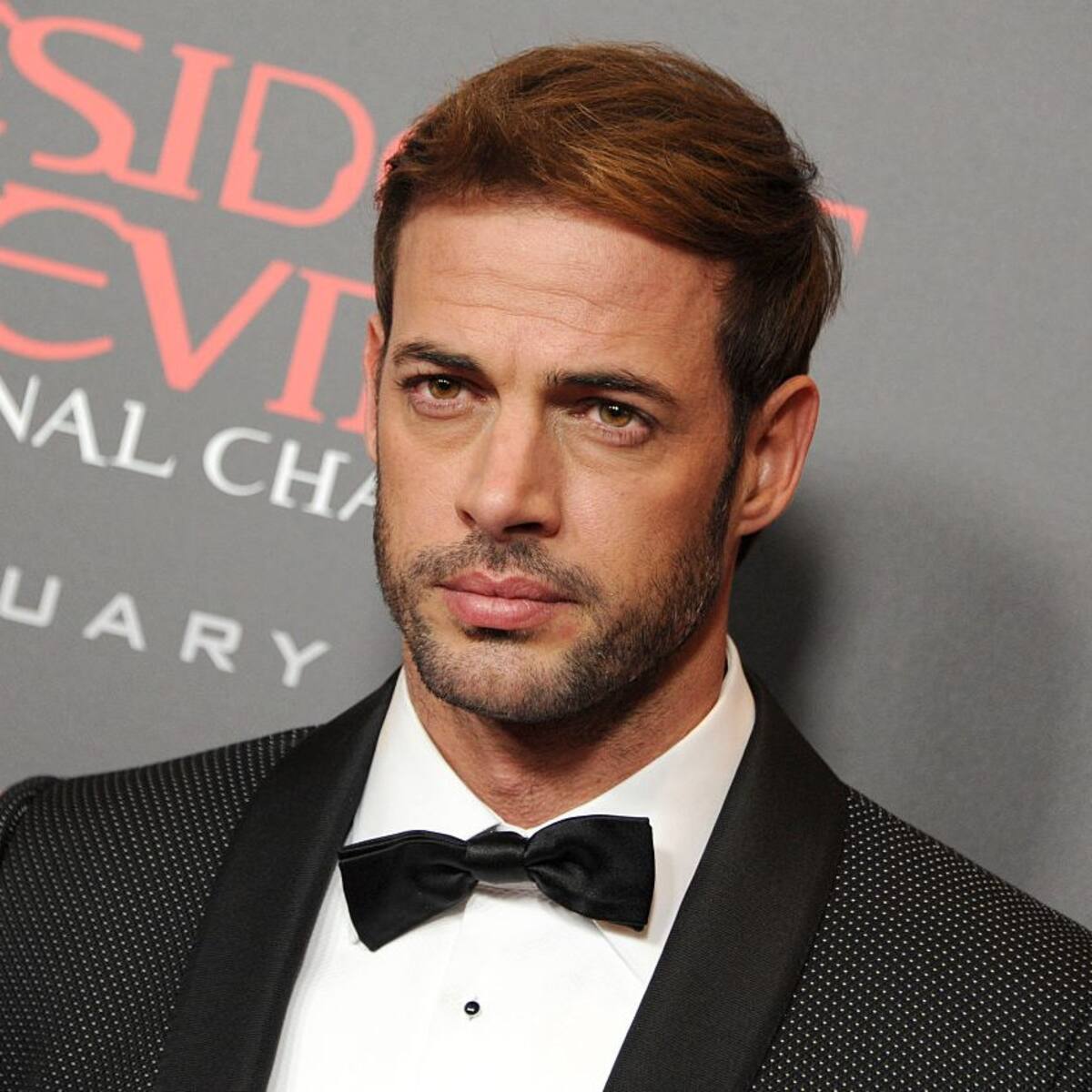 Why Has Cuban Actor William Levy Been Arrested?