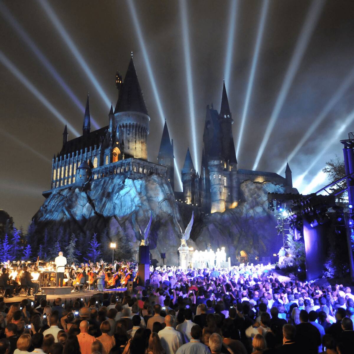 The Heartwarming Goodbye Gesture from Harry Potter Fans to Michael Gambon