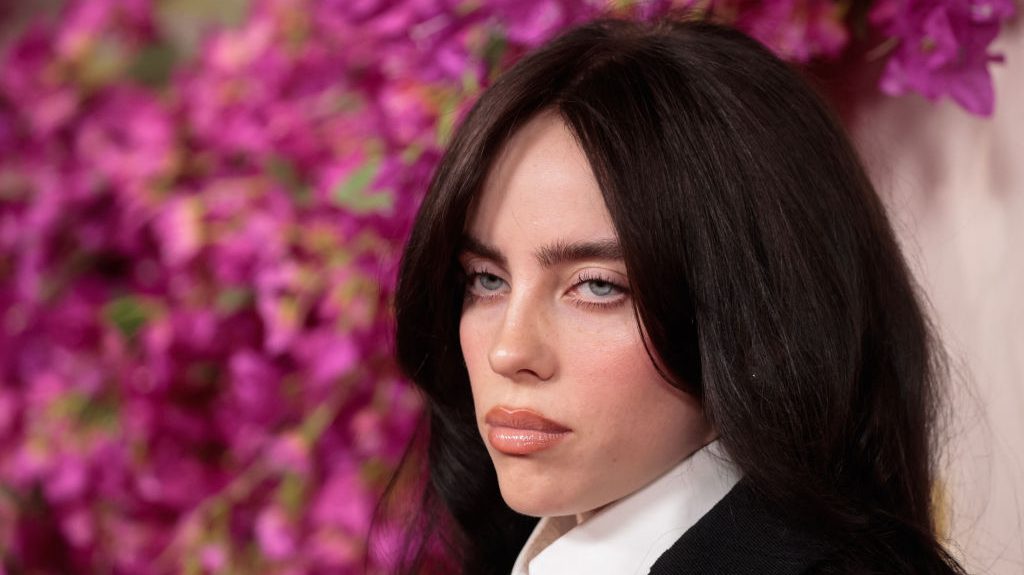 Billie Eilish's Reaction After Being Hit in the Face at a Concert: VIDEO