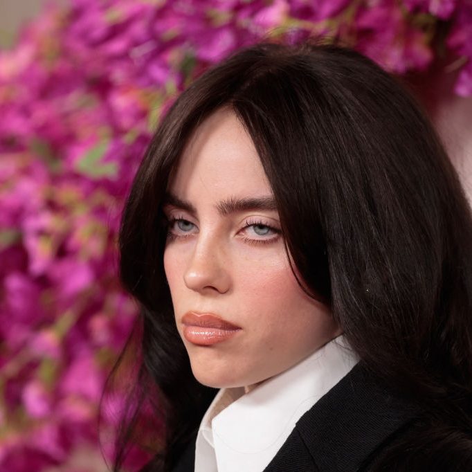 Billie Eilish's Reaction After Being Hit in the Face at Arizona Concert: VIDEO