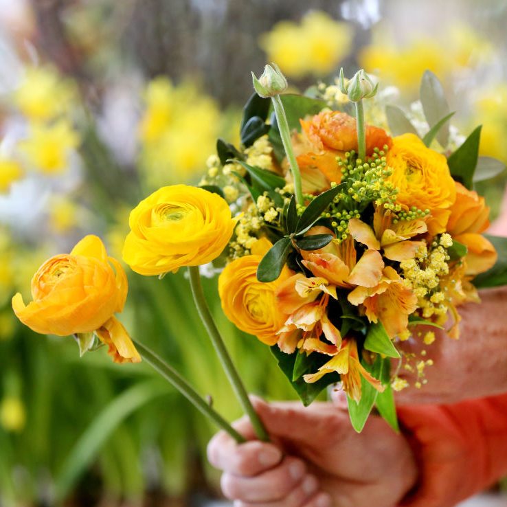 Yellow Flowers March 21