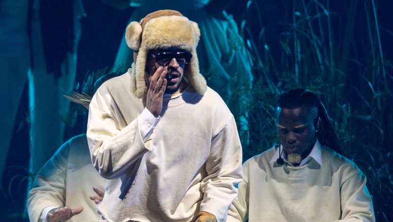 Bad Bunny Origins